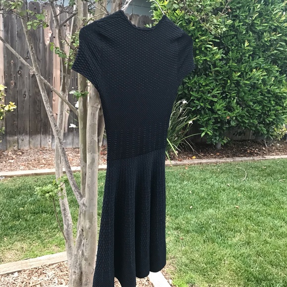 Torn by Ronny Kobo Black Skater Dress - Picture 4 of 8